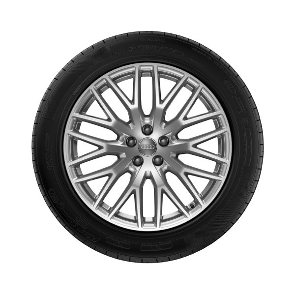 Kompletne koło zimowe o 10-ramiennym wzorze Y, lewe