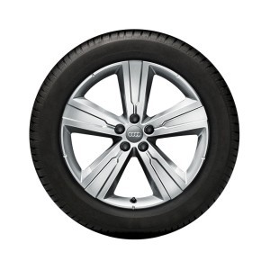 Kompletne koło zimowe o 5-ramiennym designie