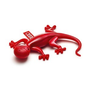Gekon zapachowy czerwony, kwiatowo-cierpki