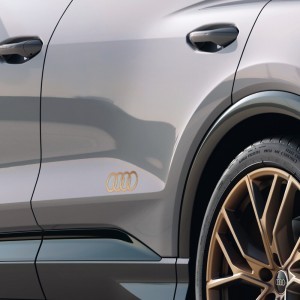 Folie dekoracyjne pierścienie Audi