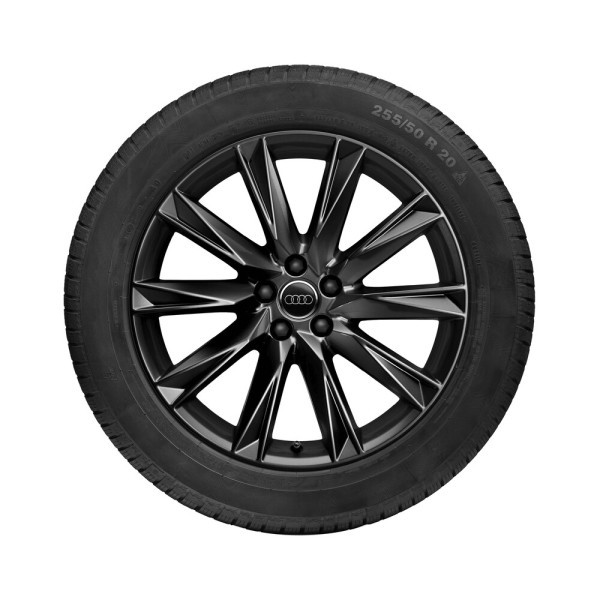 Koło, wzór z 10 szprychami Lamina