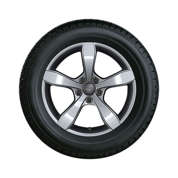 Kompletne koło zimowe